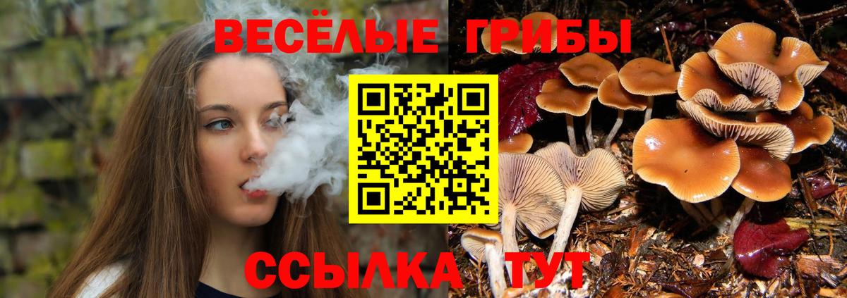 Ачинск  Галлюциногенные грибы Cubensis  Вход с VPN  Галлюциногенные грибы мицелий 